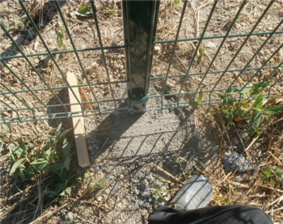 hith strong quality Welded Mesh Fence 