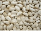 safflower seed oil