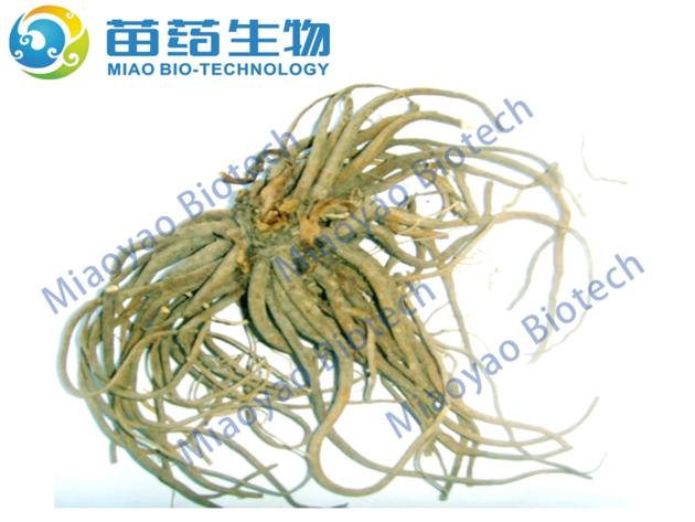 Valerian Extract