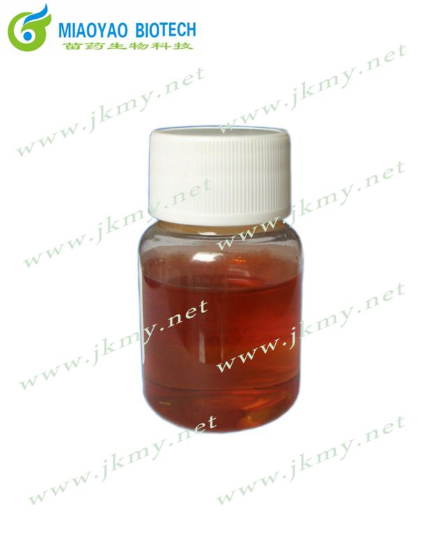 Blumea Oil