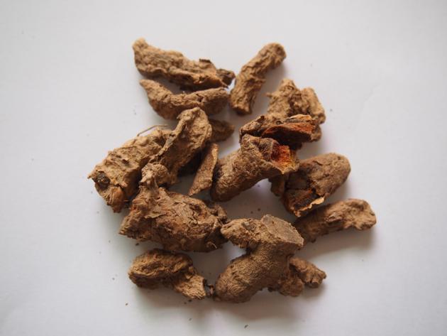 Zingiber Corallinum Hance Oil
