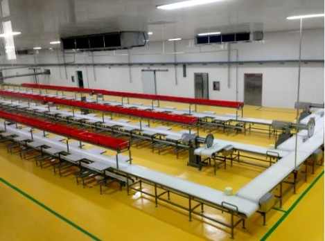 China Automatic New styles New products Automatic division production line manufacture