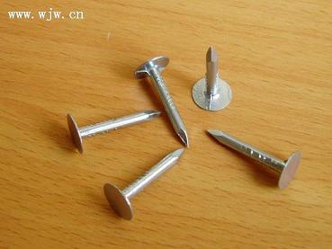 felt nails,common nails,roofing nails,wire nails,nails