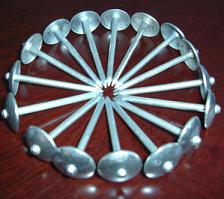 nails,common nails,roofing nails,galvanzied roofing nails,wire nails