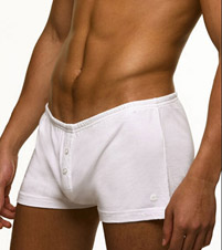 boxer