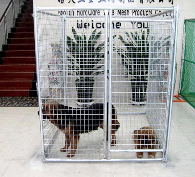 Large space dog run play pen and outdoor kennel