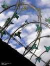razor barbed wire