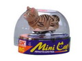 RADIO CONTROL CAT