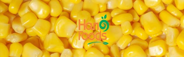 Hot Selling Canned Sweet Corn