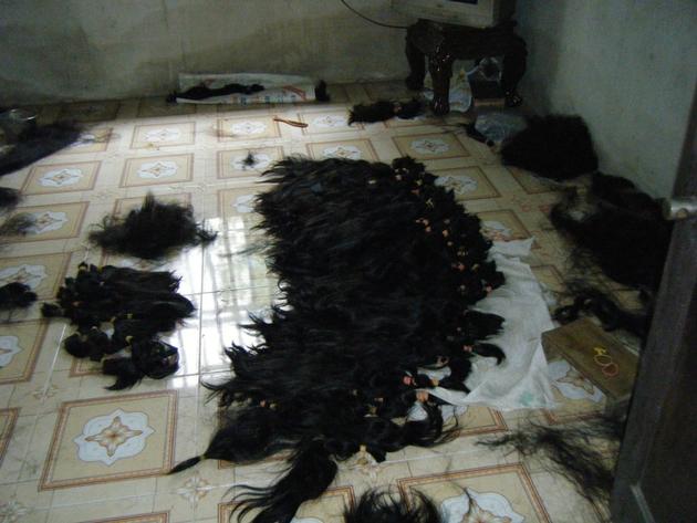 Human Hair