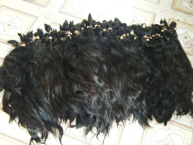 Human Hair