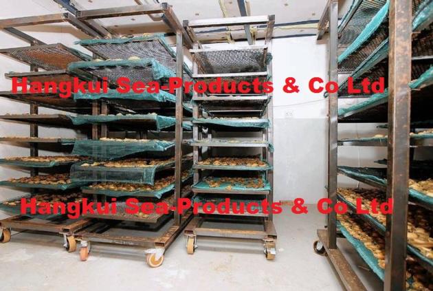 Dried African Atlantic Abalones Haliotis Midae