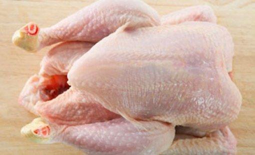 HALAL WHOLE FROZEN CHICKEN & CHICKEN CUTS
