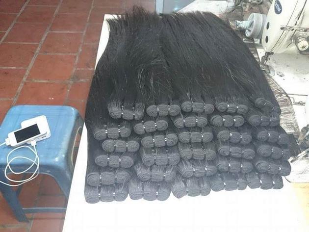 Human Hair