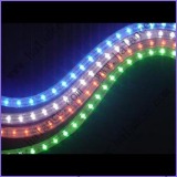 LED Rope Light (R-2 Wire)