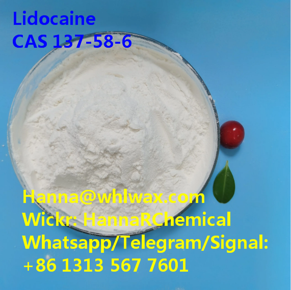 CAS 137-58-6 Lidocaine High Purity Powder China Factory Supplier 