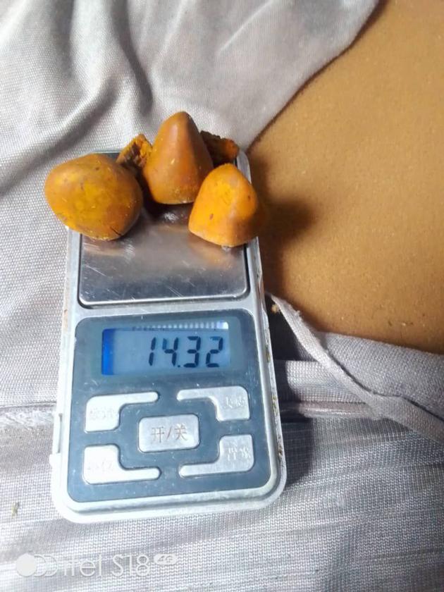 Grade A  Ox Gallstones