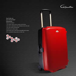 PP suitcase, trolley case, beauty case