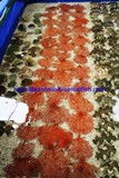 Sea Fan Corals (for sale)