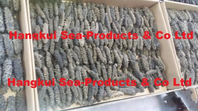 Dried Sea Cucumbers Spiky