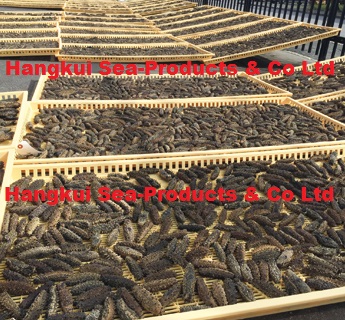 Dried Sea Cucumbers Spiky