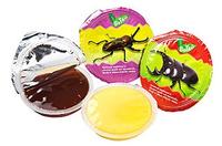 Beetle Jelly(T001)-Han Shuo