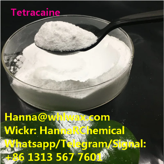 CAS 94-24-6 Tetracaine High Purity Powder China Factory Supplier 