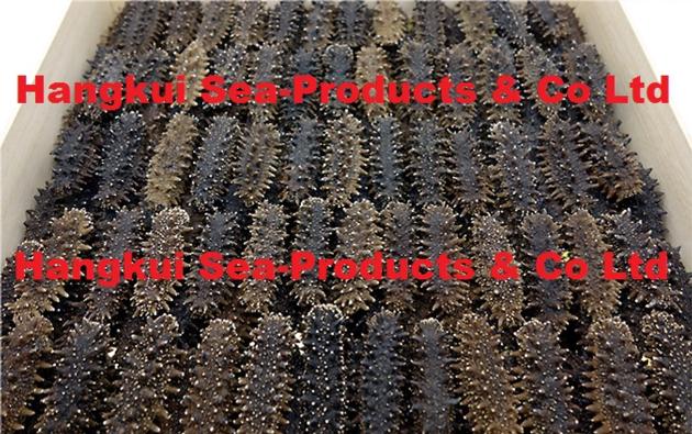 Dried Sea Cucumbers (Spiky)