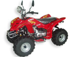 ATV ,Dirt Bike,Pocket Biek, Scooter and so on