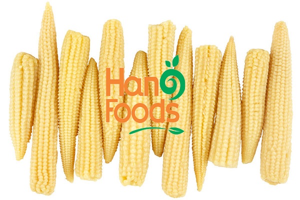 Canned Baby Corn In Glass Jar