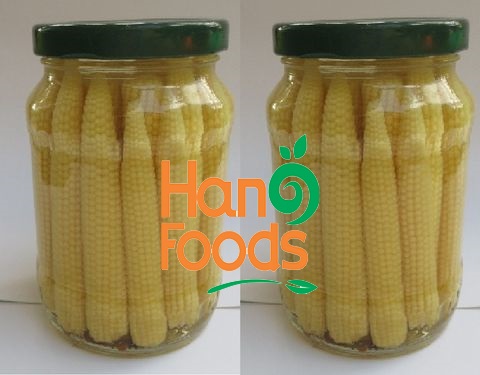 Canned Baby Corn In Glass Jar