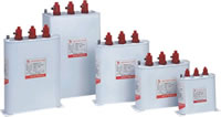BSMJ Self-healing low voltage Shunt Capacitor