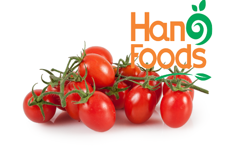 Canned Cherry Baby Yellow Red Tomato