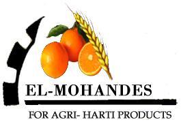 fresh oranges