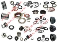 Fristam pump seals