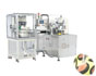 Auto powder press machine