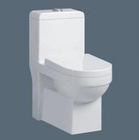 Indoor water-saving toilet quiet