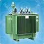 oil-immersed transformer