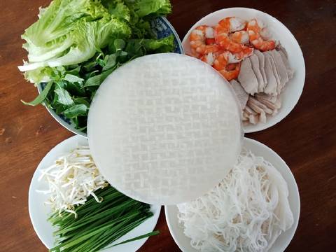 Rice Paper Ricepaper Spring Rolls Net