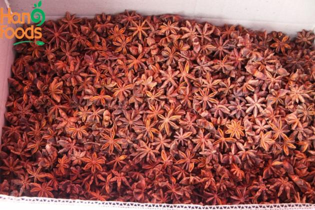 Dried Star Anise Flower