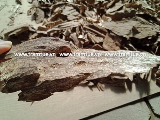 Agarwood Chips 