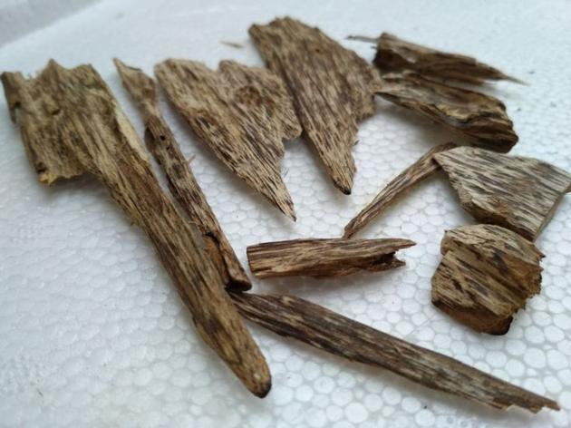 Agarwood Chips