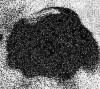 natural flake graphite Powder FC:80%