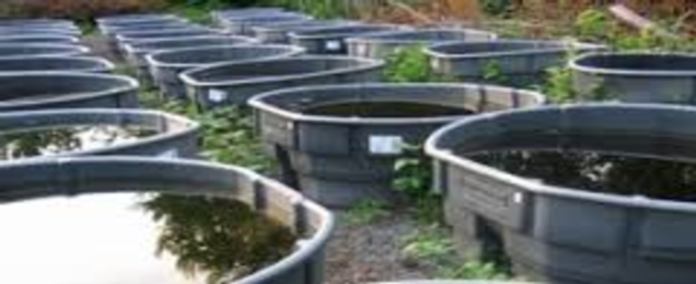 Solar Pond