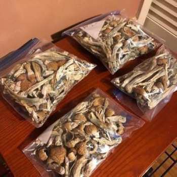 SELL MAGIC MUSHROOMS PSYCHEDELICS DRUGS