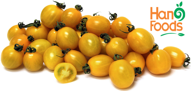 Canned Cherry Baby Yellow Red Tomato