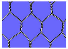 Hexagonal Wire Mesh