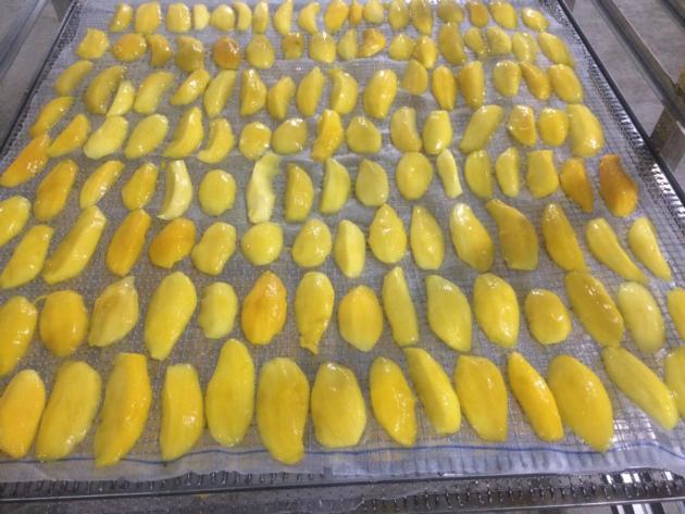 Soft Dried Mango
