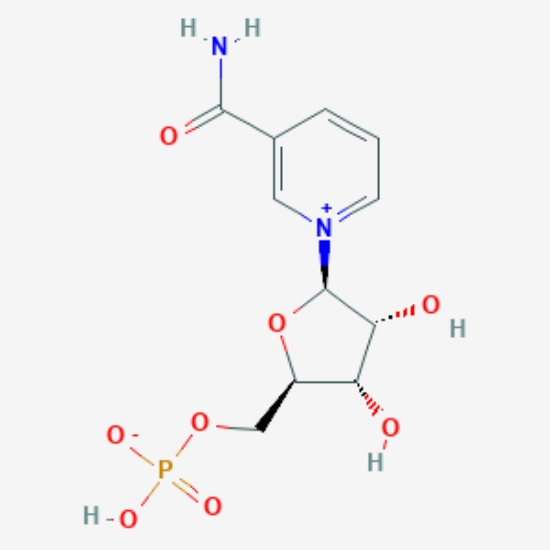 C A S : 1094-61-7 Beta-Nicotinamide Mononucleotide NMN