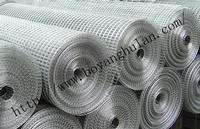 Welded wire mesh 